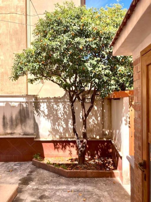 Villa Orlando Mondello Palermo Exterior photo